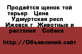 Продаётся щенок той-терьер › Цена ­ 12 000 - Удмуртская респ., Ижевск г. Животные и растения » Собаки   